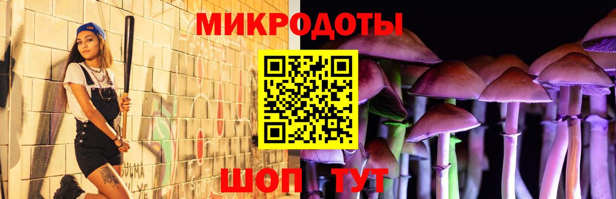 Галлюциногенные грибы мухоморы Артёмовский
